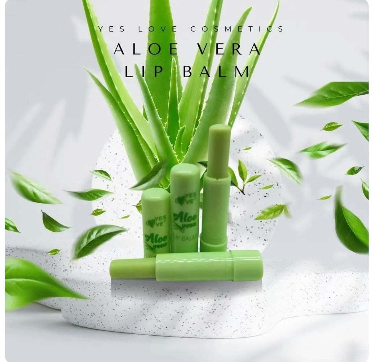 Baume à lèvre Aloè Vera
