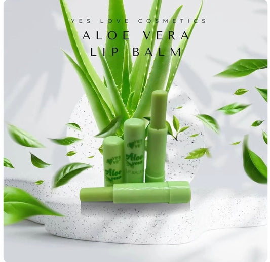 Baume à lèvre Aloè Vera